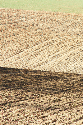 Field 2, par Xavier E. G. Dierick
